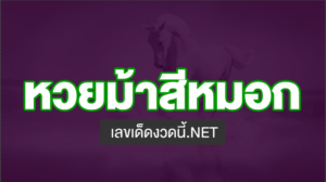 หวยม้าสีหมอก VIP