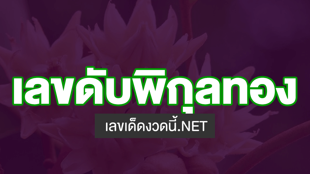 เลขดับพิกุลทอง งวดนี้