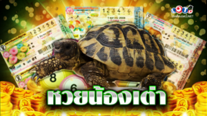 หวยน้องเต่า