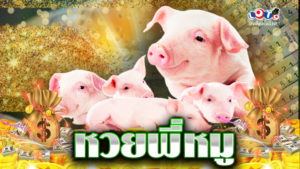 หวยพี่หมู